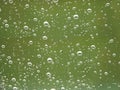 Rain droplets