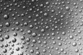 Rain droplets Royalty Free Stock Photo