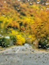 Rain droplets autumn colours abstract background