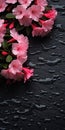 Rain Droplets On Black Surface With Pink Flowers - Classic Still Life Composition