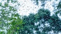 Rain droplets on surface of car glass with blurred green nature background and flowers through window glass of the car covered by Royalty Free Stock Photo