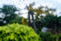 Rain droplets on surface of car glass with blurred green nature background and flowers through window glass of the car covered by Royalty Free Stock Photo