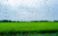 Rain droplets on surface of car glass with blurred green nature background through window glass of car covered by raindrops. Royalty Free Stock Photo