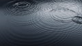 Rain Droplets on Water Surface Royalty Free Stock Photo