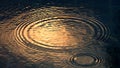 Rain drops on blue water swimming pool Royalty Free Stock Photo