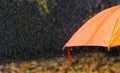 Rain drops on bright orange umbrella under heavy rain in autumn park, close-up.
