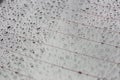 Rain drops on car glass background. Royalty Free Stock Photo