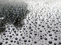 Rain drops on a car roof Royalty Free Stock Photo