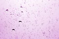 Rain drops on car window in purple tone with blur effect. Royalty Free Stock Photo