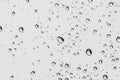 Rain drops on clear window Royalty Free Stock Photo