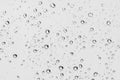 Rain drops on clear window Royalty Free Stock Photo