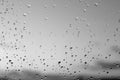 Rain drops and defocused sky background in black and white Royalty Free Stock Photo