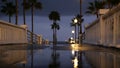 Rain drops, evening in Oceanside California USA. Pier, palms in twilight dusk. Reflection of light.