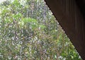 Rain drops fall continuously from roof with blur green nature