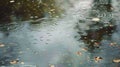 Rain Drops Falling on a Puddle of Water Royalty Free Stock Photo