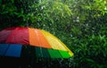 Rain drops falling on umbrella in the day time Royalty Free Stock Photo