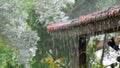 Rain drops falling from roof`s eave during rain Royalty Free Stock Photo
