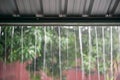 Rain drops fast dipping from zinc roof Royalty Free Stock Photo