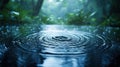 Rain Drops in a Forest Puddle: A Serene Nature Scene Royalty Free Stock Photo