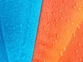 Rain drops on the umbrella, color background.