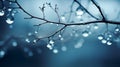 Delicate Fantasy Worlds: Raindrops On Tree Branches Wallpaper