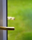 Rain drops on golden door handle lock outside of the room in the rainy day in the morning, Background for rainy season