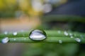 Raindrop on green leaf in wide angle macro