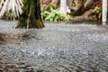 Rain drops on the lake Royalty Free Stock Photo