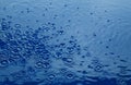 Rain drops rippling over blue