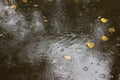 Rain drops rippling in a puddle