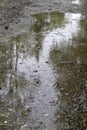 Rain drops rippling in a puddle Royalty Free Stock Photo