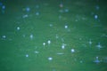 Rain drops rippling in a puddle with blue sky reflection Royalty Free Stock Photo