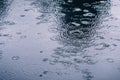 Rain drops rippling in a puddle Royalty Free Stock Photo