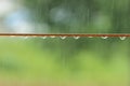 Rain drops on the rope. Royalty Free Stock Photo