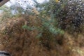 rain drops sliding at car window glass at rainy day from flat angle Royalty Free Stock Photo