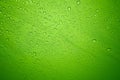 Rain drops on the solid abstract green background Royalty Free Stock Photo