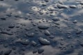 Rain drops on top of the dark car roof Royalty Free Stock Photo