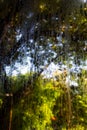 Rain drops, Water drops on mirror window in bokeh green garden background, Selective focus, About Morning, Rainy day concept Royalty Free Stock Photo