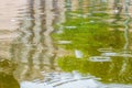 Rain drops on a water surface with green and buildings reflections
