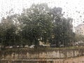 Rain drops on wet window and street tree, blue sky and stormy rain clouds behind, blurred city bokeh. Concept of rainy Royalty Free Stock Photo