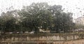 Rain drops on wet window and street tree, blue sky and stormy rain clouds behind, blurred city bokeh. Concept of rainy weather, se Royalty Free Stock Photo