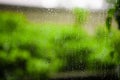 Rain drops on window glass Royalty Free Stock Photo