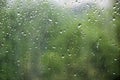 Rain drops on the window glass large detailed. Window with large drops of rain on a green Royalty Free Stock Photo
