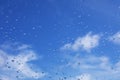 Rain drops window glass. Rainy day sky view through window Royalty Free Stock Photo