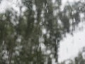 Rain drops on window glasses surface with trees against the sky Royalty Free Stock Photo