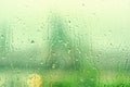 Rain drops on window with green tree as background. Natural water drops on glass. Selective focus Royalty Free Stock Photo