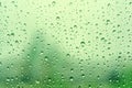 Rain drops on window with green tree as background. Natural water drops on glass. Selective focus Royalty Free Stock Photo