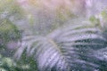 Rain drops on window with green tree in background. Rainy day concept Royalty Free Stock Photo