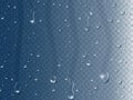Rain drops on window. Realistic 3d condensation water drop and vapor bubble on glass surface. Pure liquid droplet vector