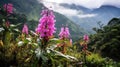 rain ecuadorian cloud forest